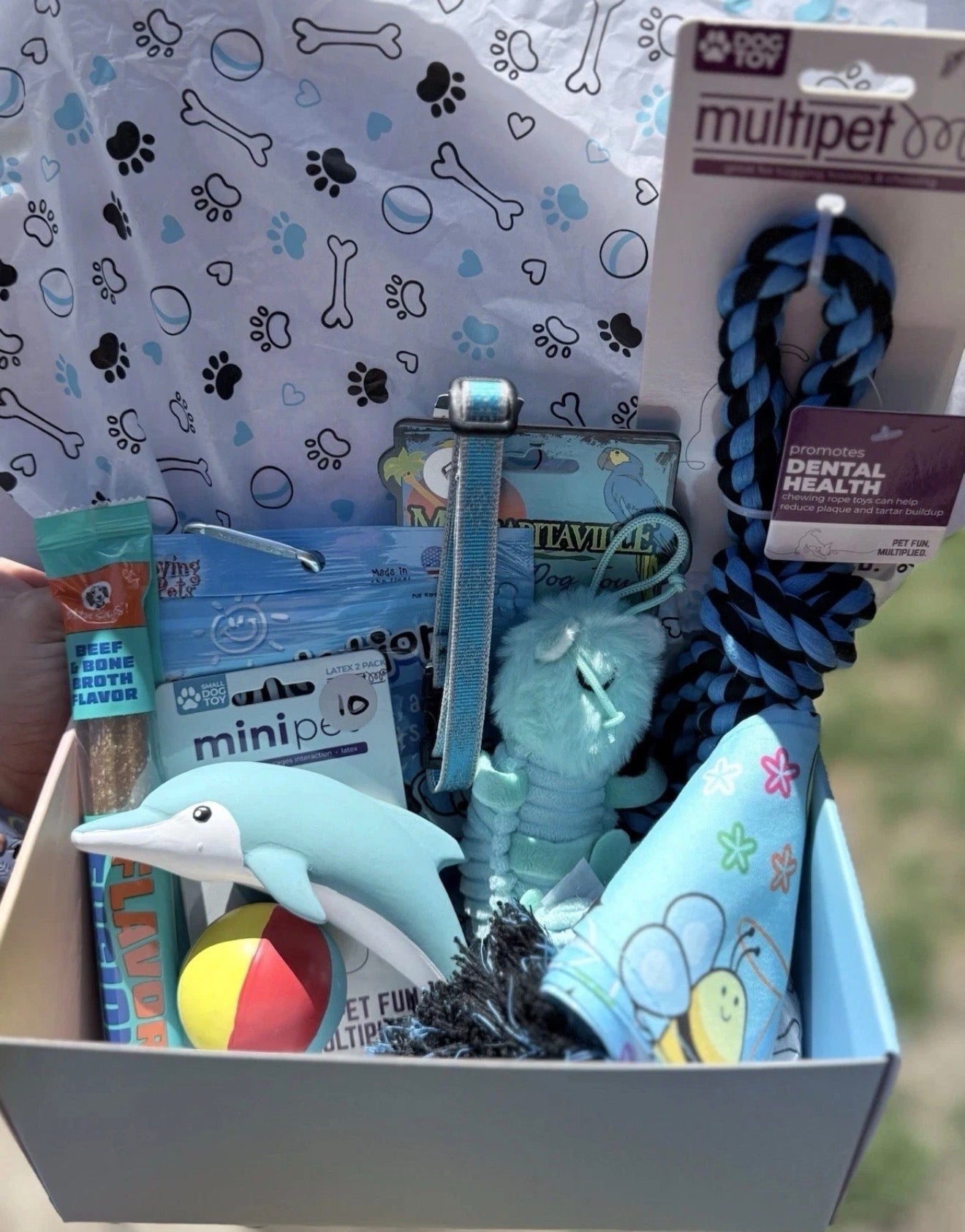Small Blue Pup Party Box