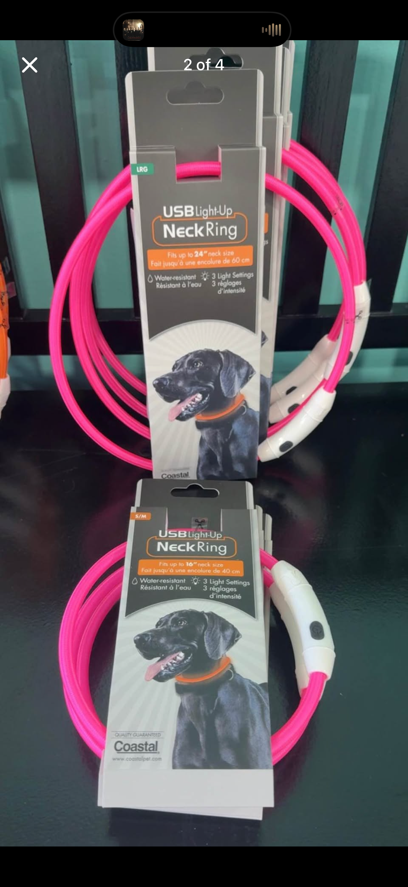 Small/Medium Coastal light up collars PINK