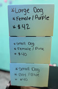 Small dog -male- blue