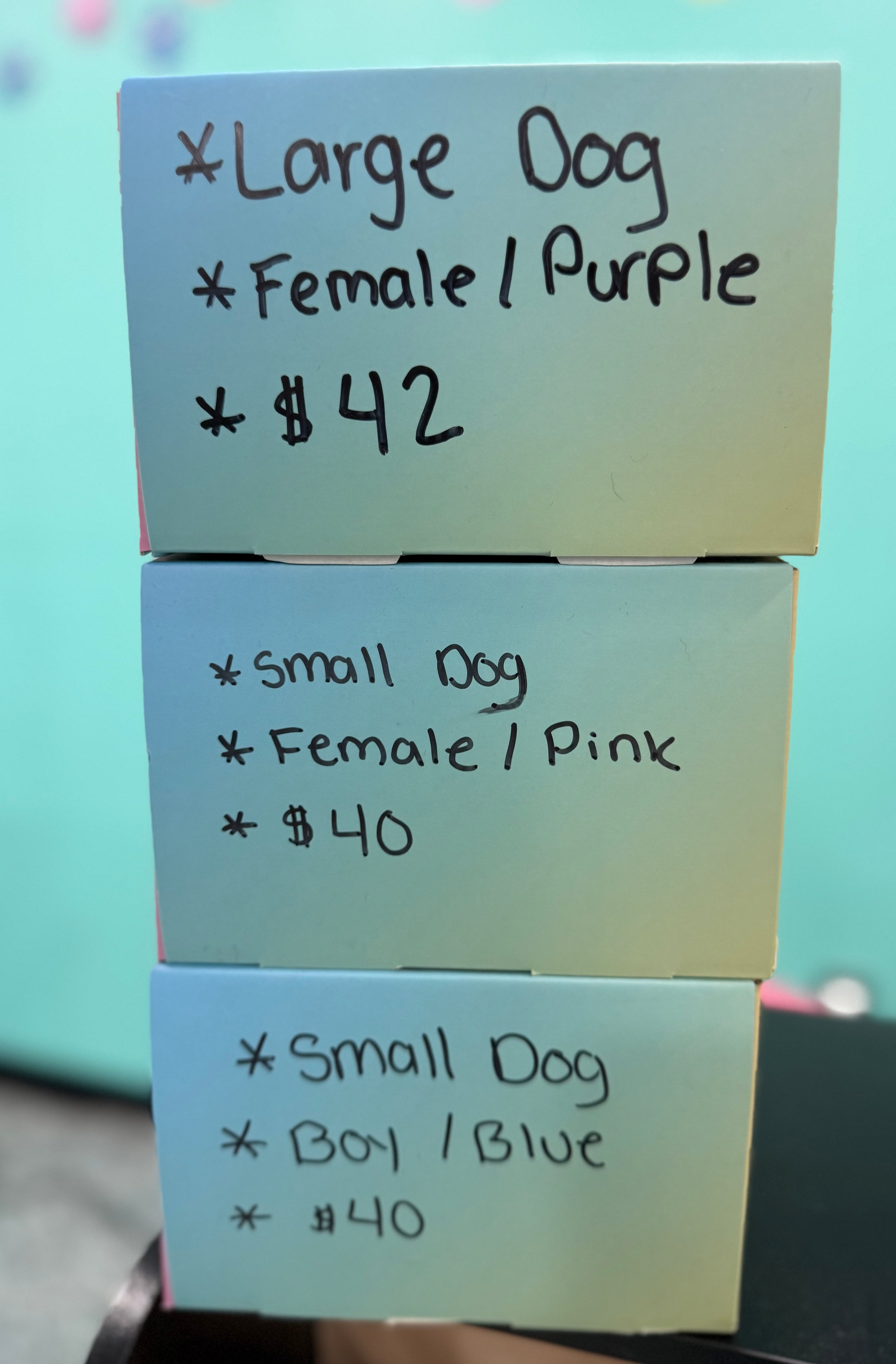 Large dog- purple - female