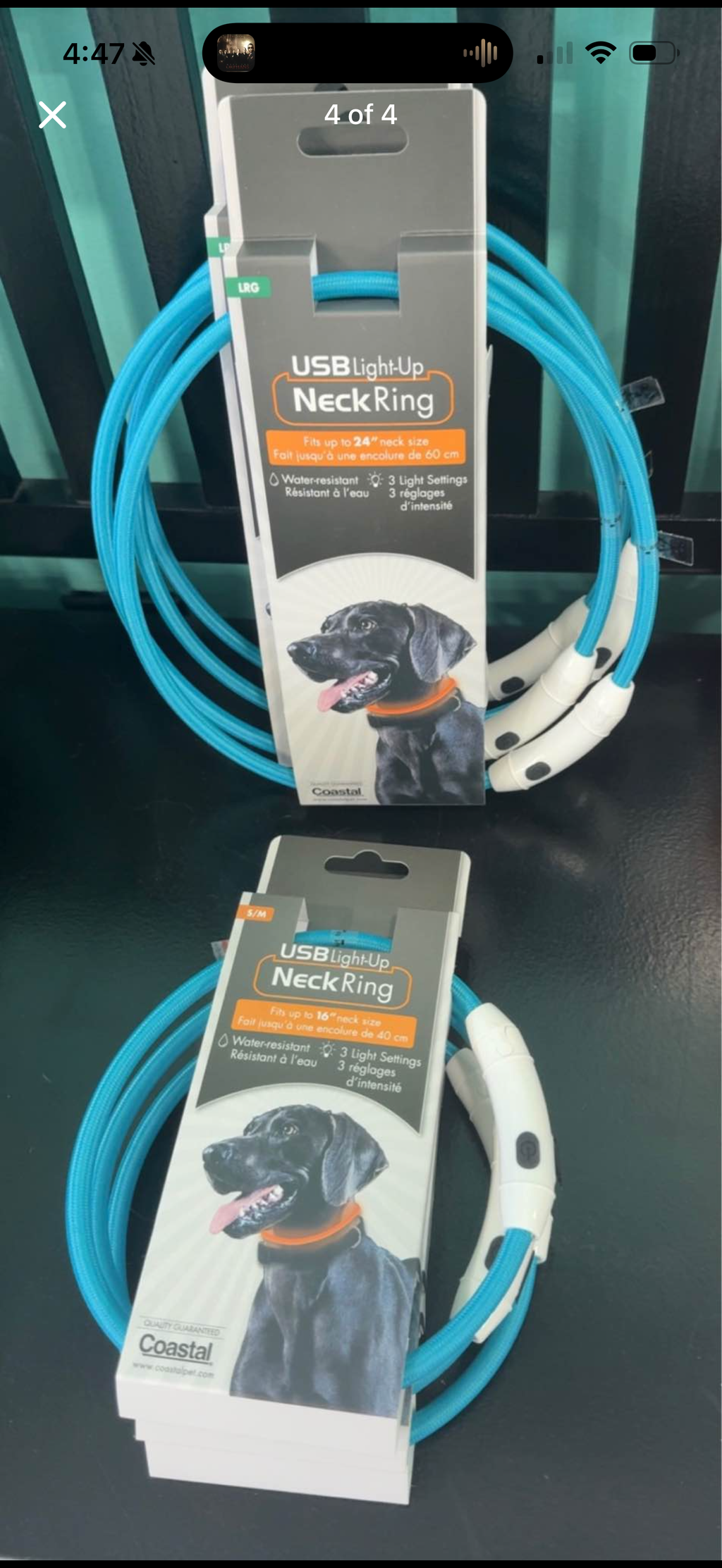 Small/Medium Coastal light up collars BLUE
