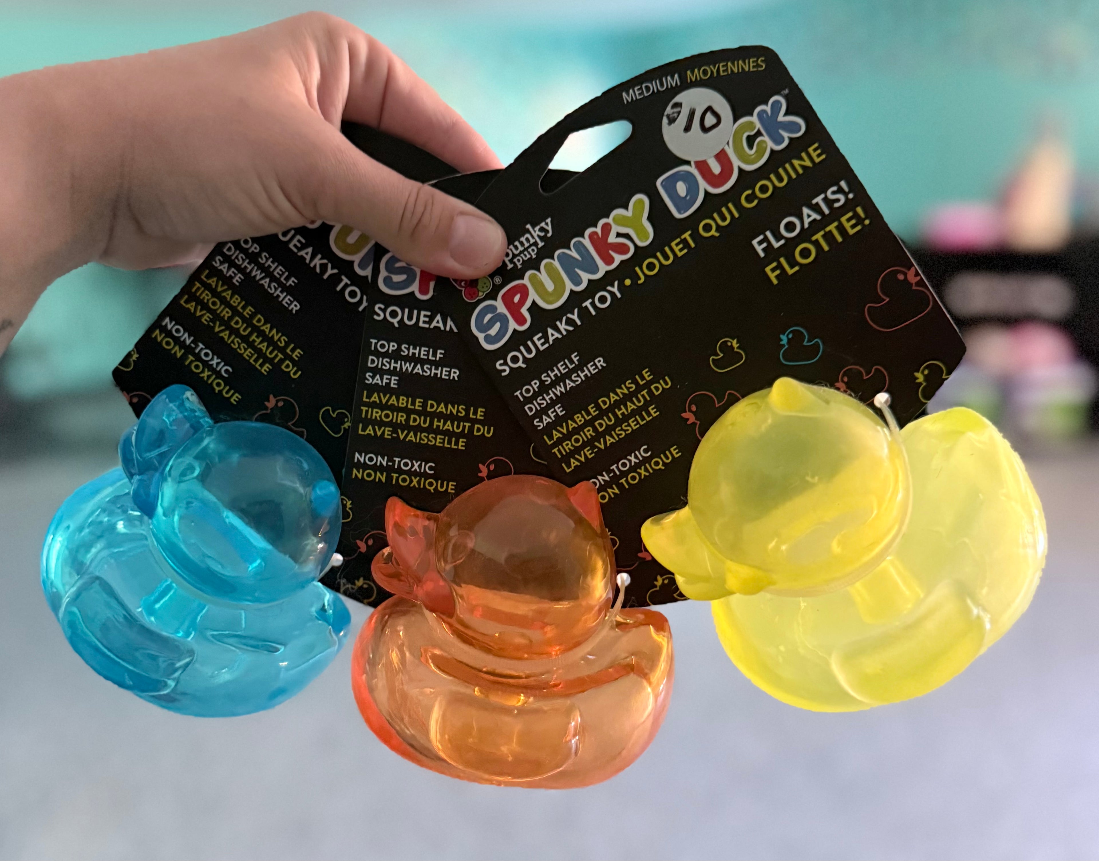 Medium Spunky Pup Ducks