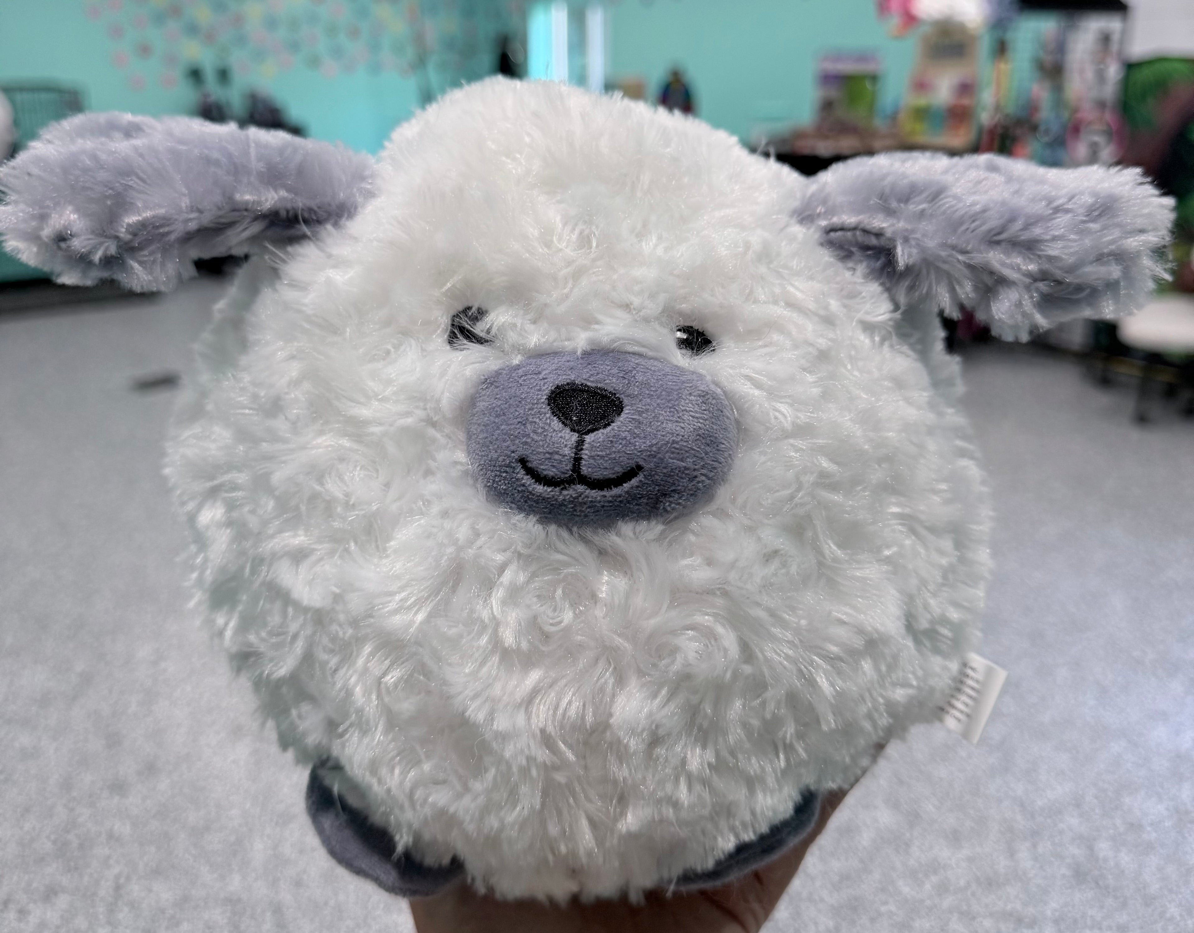 PetLou 8” Dog plush ball
