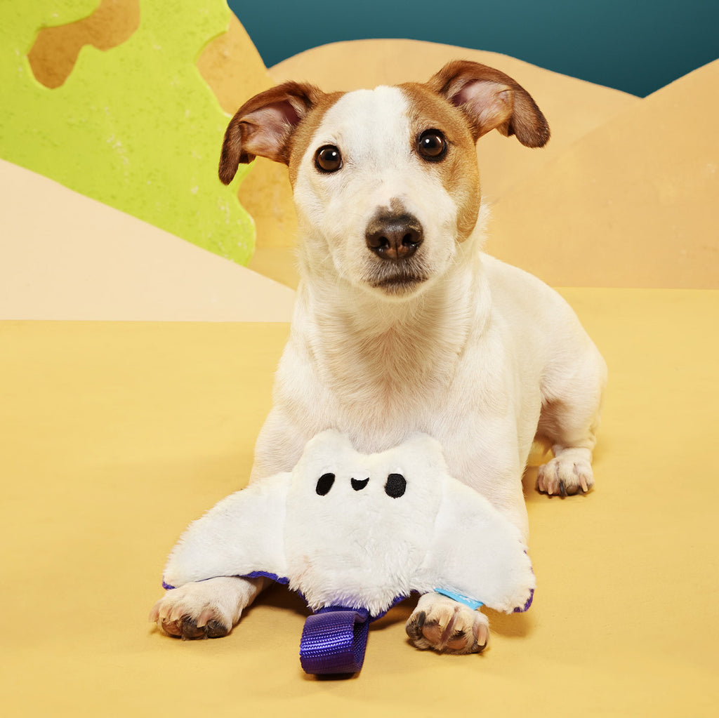 BARK Manny Ray Plush Dog Toy