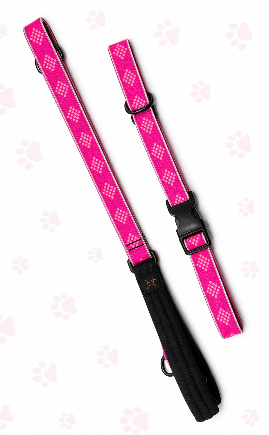 Lupine Collar & Matching Leash LARGE
