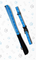 Lupine Collar & Matching Leash LARGE