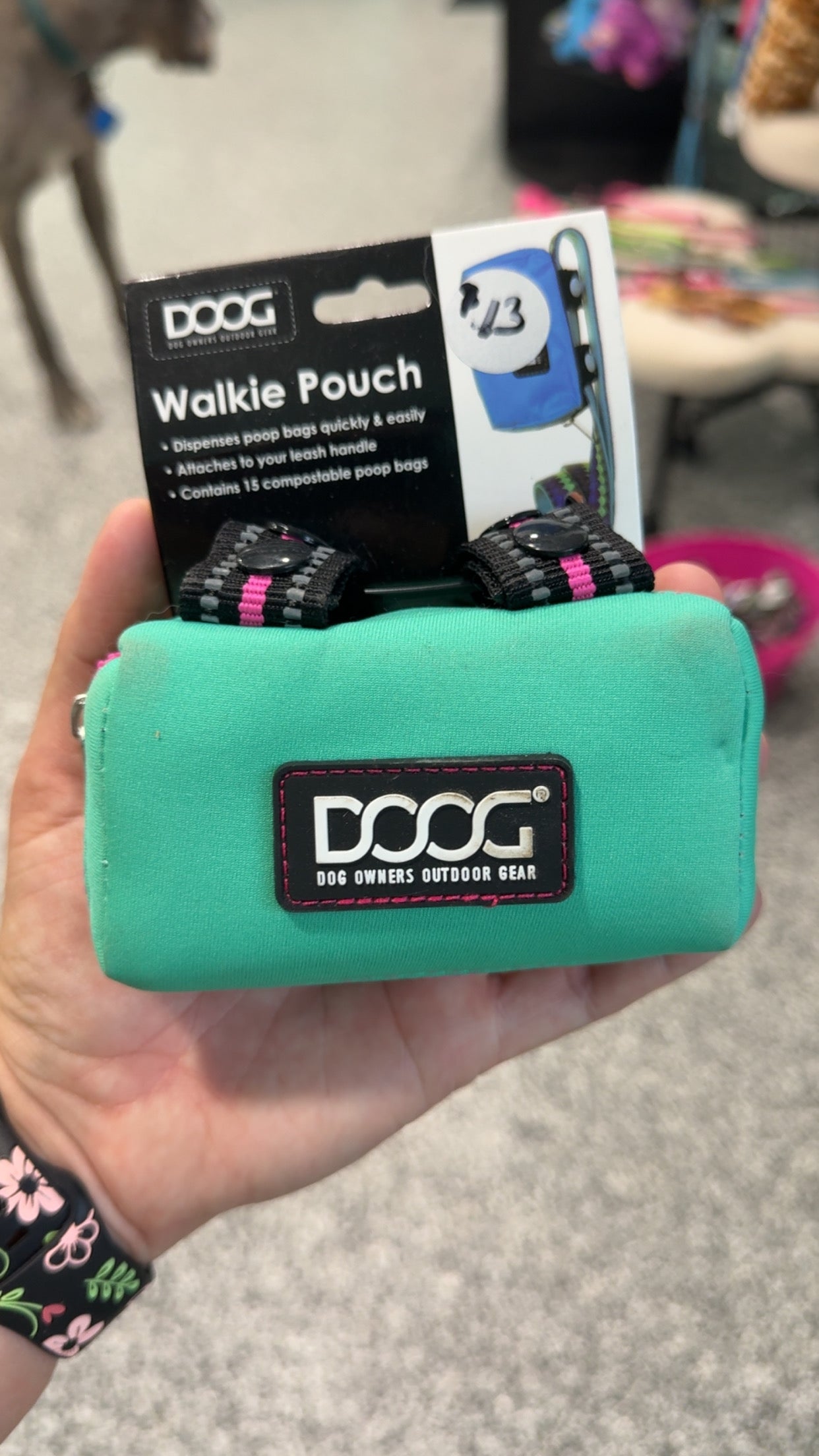 Teal & Pink DOOG walking pouch