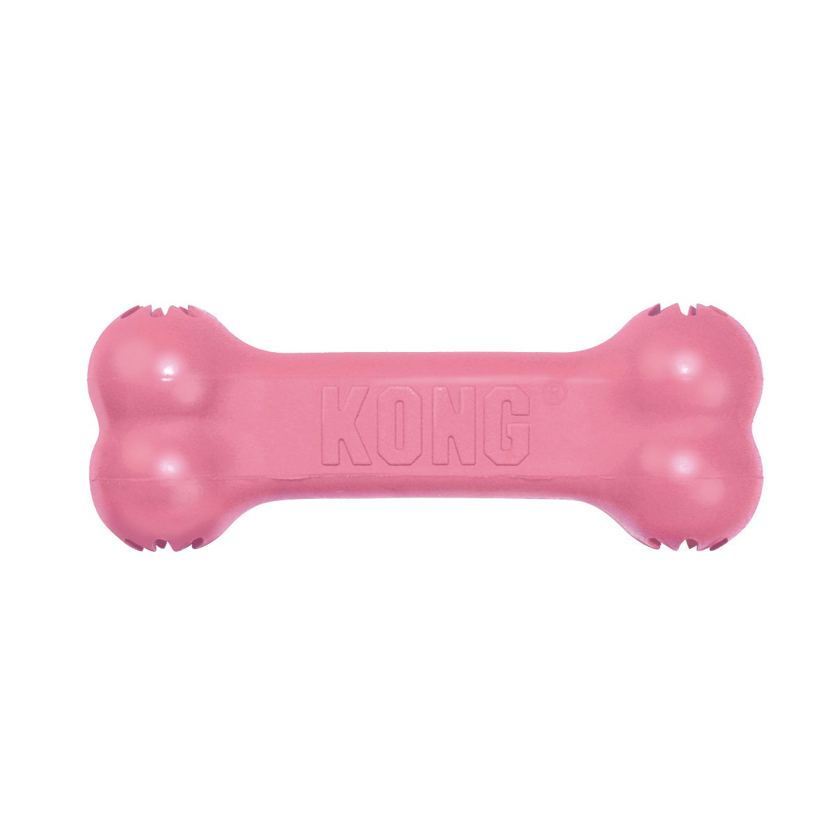 Kong Puppy Goodie Bone