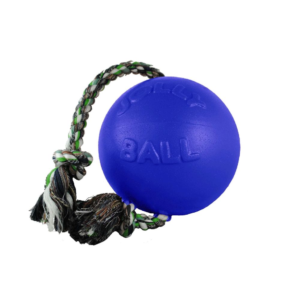 JOLLYPET Romp-n-Roll 4.5in. Blue