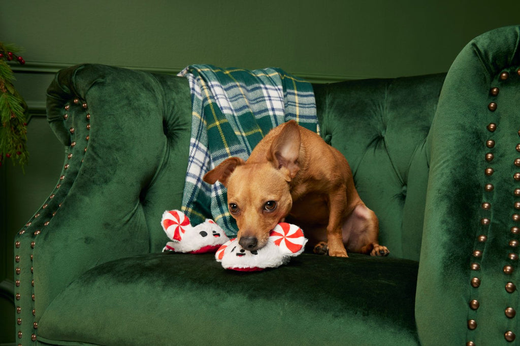 BARK Peppermice Slippies Plush Dog Toy XS